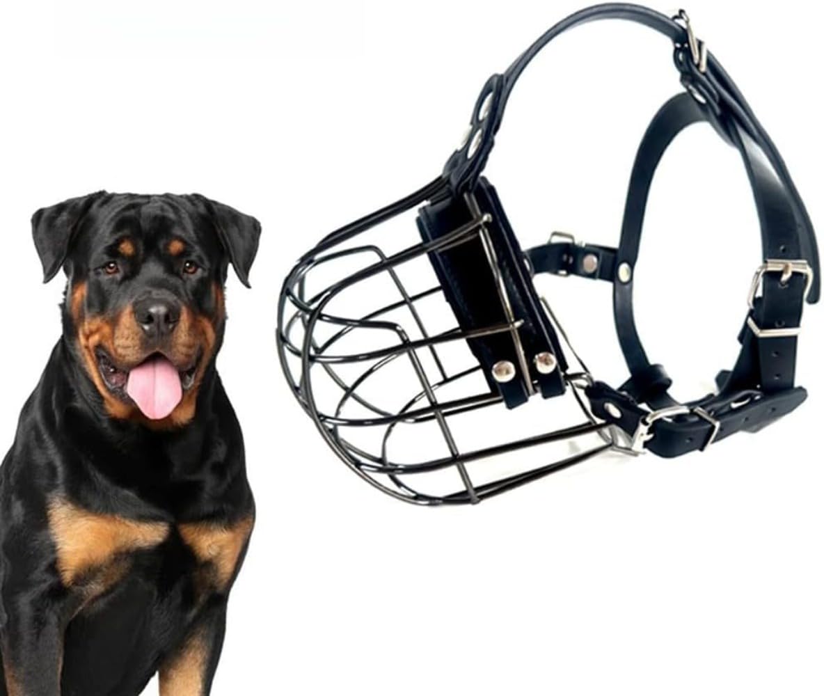 Amazon | Eiuuioj 噛みつきや誤飲を防ぐ犬用口輪 ロットワイラー